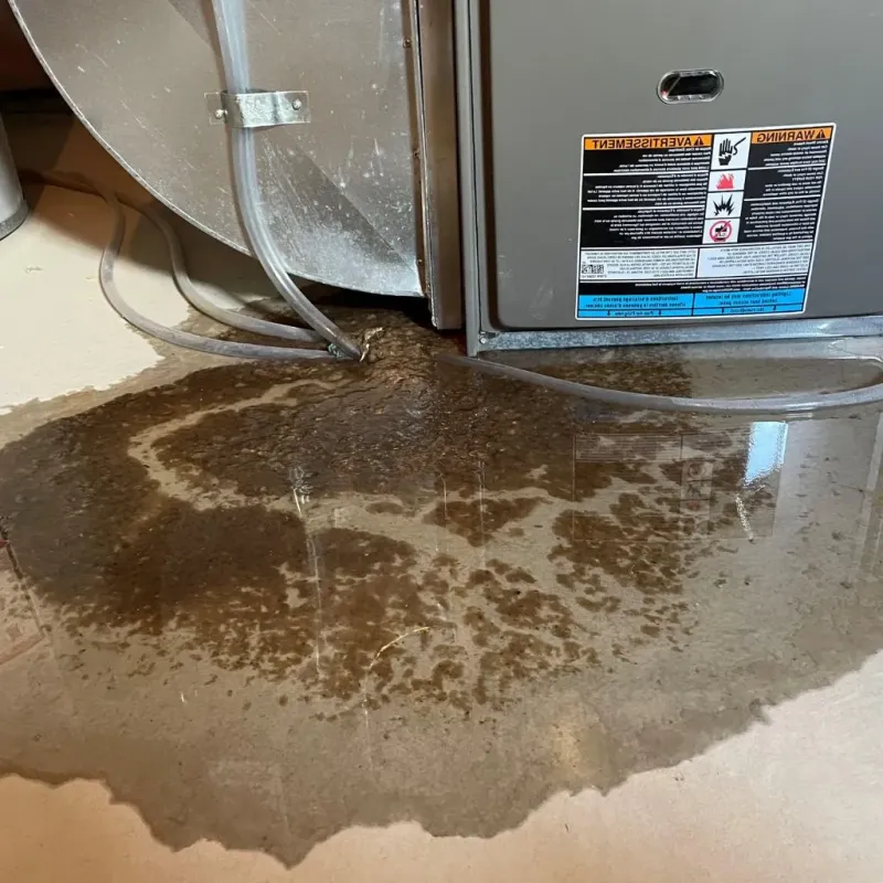 Pipe Burst and Leak Restoration in Germantown, WI